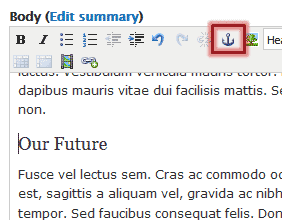Screenshot of the anchor button in the text editor and cursor next to text saying Our Future