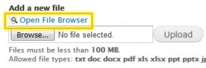 Open File Browser link highlighted above the Add a New File field