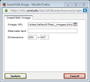 Image dialog window with field for alternate text