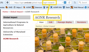 AGNR Research page showing 'agnr-research' as the URL path