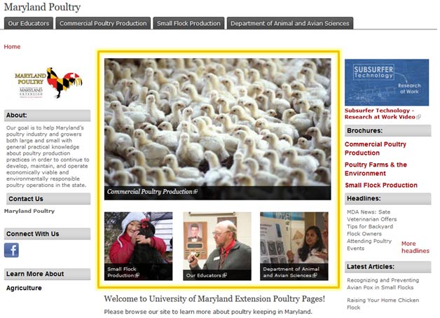 Screenshot of MD Poultry homepage
